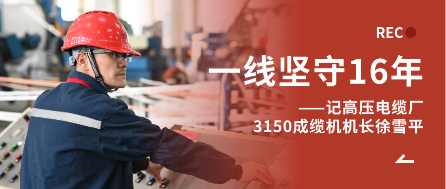 徐雪平：匠“成”于心，十六年筚路“缆”缕