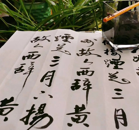 2020032913590298298 XPJ·(澳门区)公司官方网站