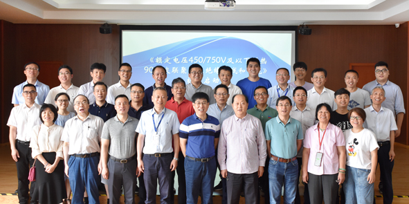 20200721153310971097 XPJ·(澳门区)公司官方网站