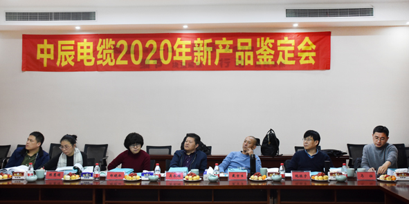 20201214141355975597 XPJ·(澳门区)公司官方网站
